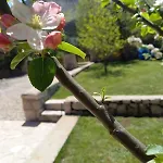 Kuca Za Odmor Mokebo Rujiste Holiday home Humilisani
