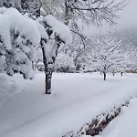 Kuca Za Odmor Mokebo Rujiste