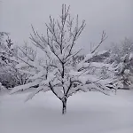 Kuca Za Odmor Mokebo Rujiste Holiday home Humilisani