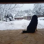 Kuca Za Odmor Mokebo Rujiste * Humilisani
