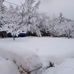 Kuca Za Odmor Mokebo Rujiste Humilisani