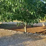 Holiday home Kuca Za Odmor Mokebo Rujiste Humilisani