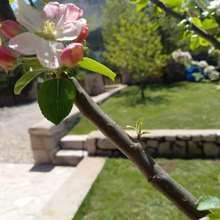 Kuca Za Odmor Mokebo Rujiste Дом отдыха Humilisani