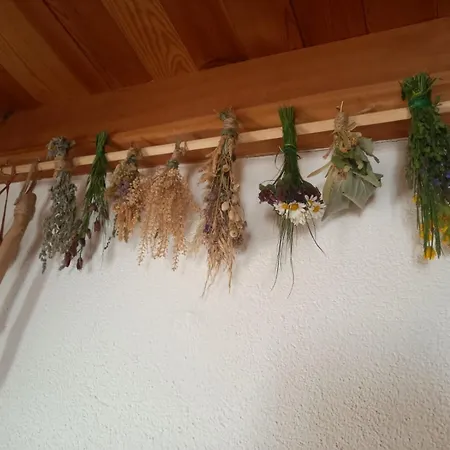 Kuca Za Odmor Mokebo Rujiste