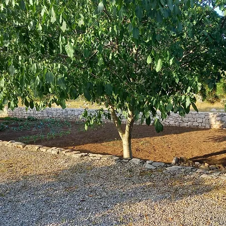 Дом отдыха Kuca Za Odmor Mokebo Rujiste Humilisani